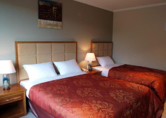 Albany Rosedale Motel オークランド 部屋 写真